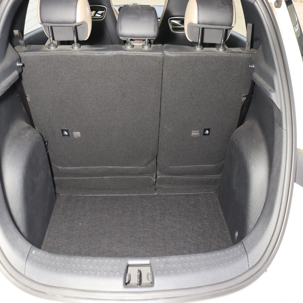 BYD Dolphin Back Seat  Protector Mat